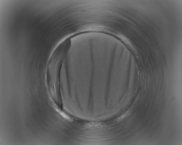 X0000081360846200702082318