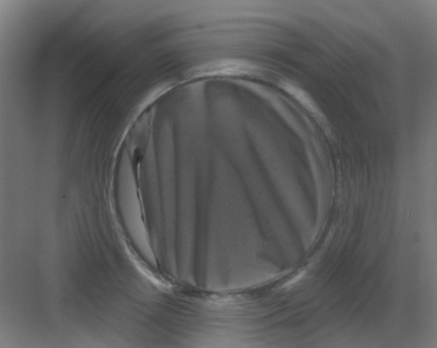 X0000081360850200702082318