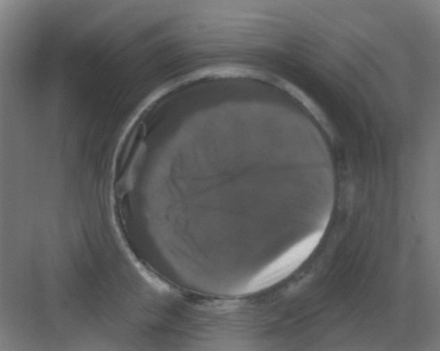X0000081360853200702082318