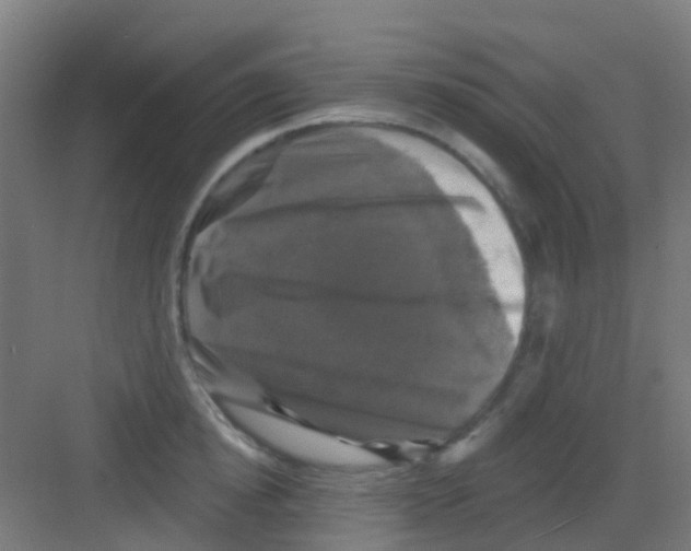 X0000081360854200702082318