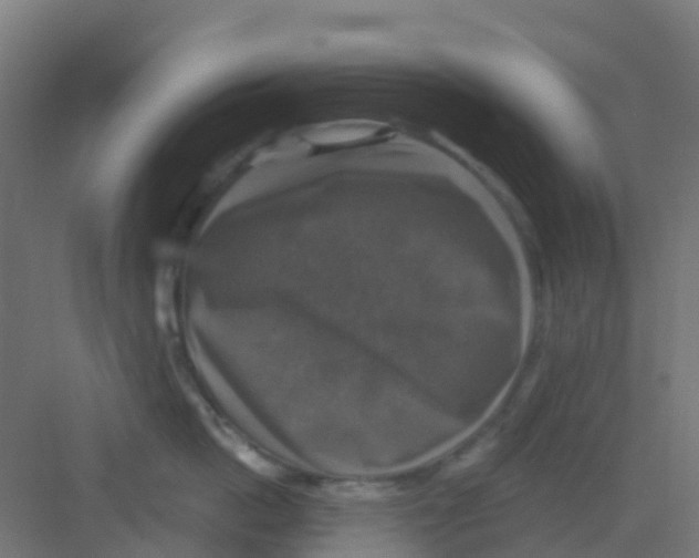 X0000081360862200702082319