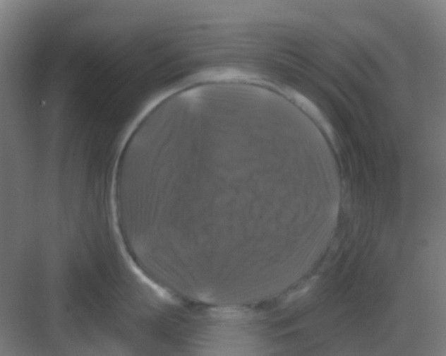 X0000081360863200702082319