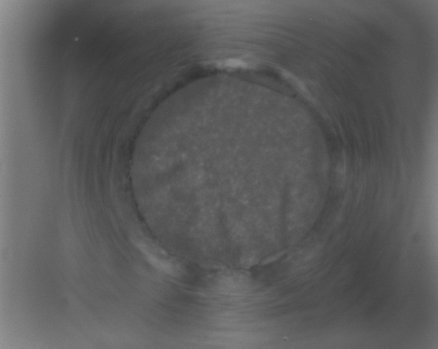 X0000081360865200702082318