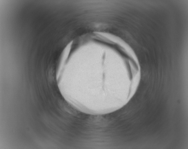 X0000081360866200702082318