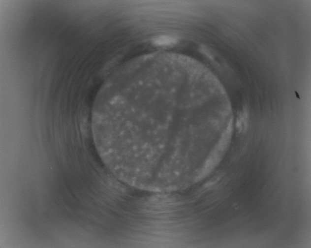 X0000081360867200702082318