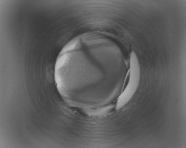 X0000081360868200702082318