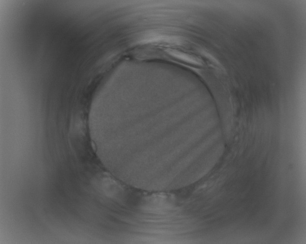 X0000081360869200702082318