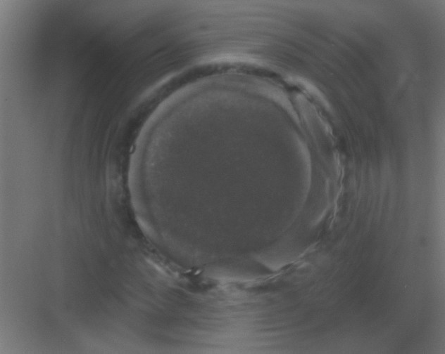 X0000081360872200702082318