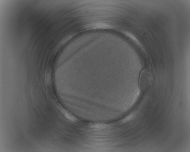 X0000081360873200702082318