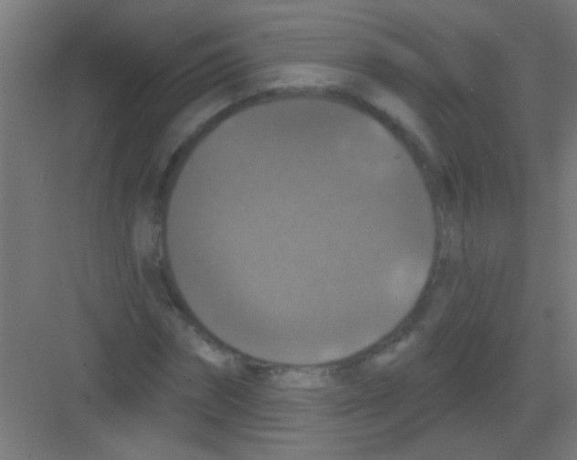 X0000081360874200702082318