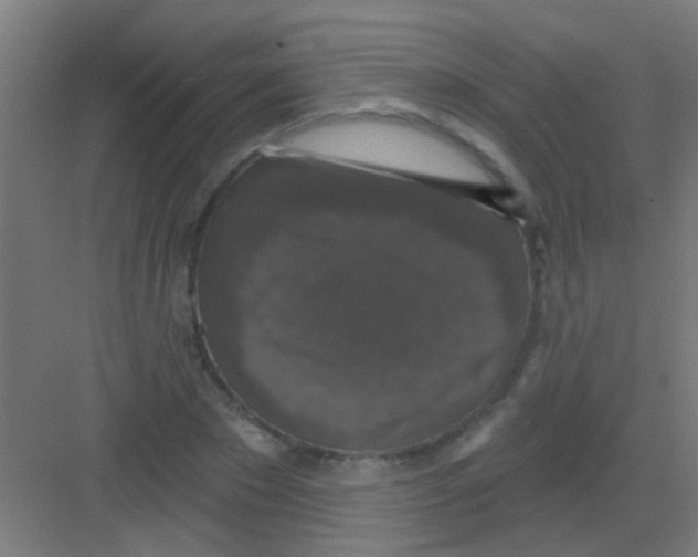 X0000081360881200702082317