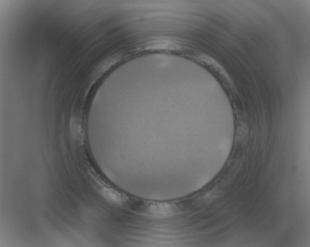 X0000081360882200702082317