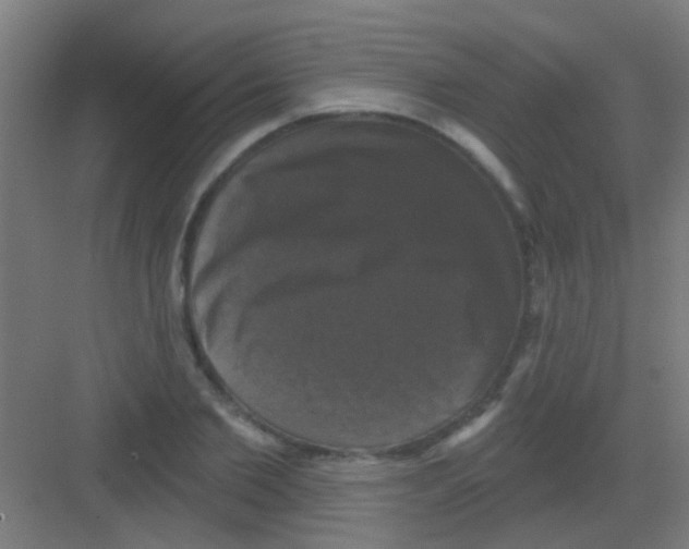 X0000081360885200702082317