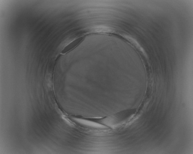 X0000081360889200702082317