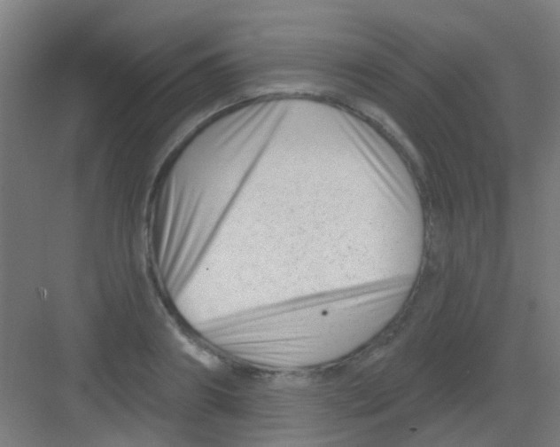 X0000081360890200702082317