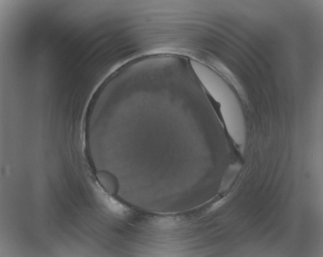X0000081360892200702082317