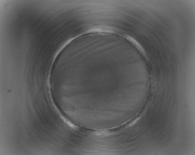 X0000081360893200702082317