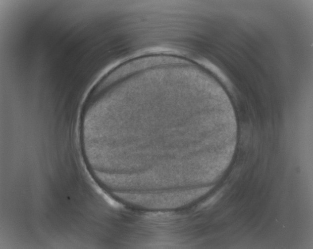 X0000081360902200702082317