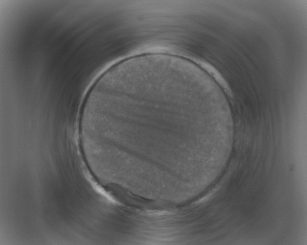 X0000081360904200702082317