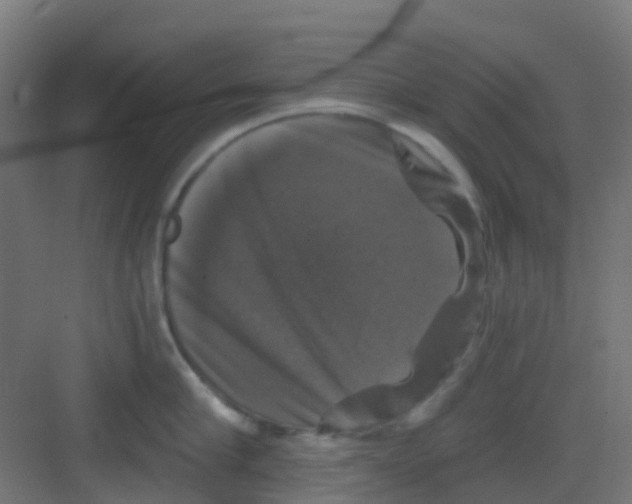 X0000081360910200702082317