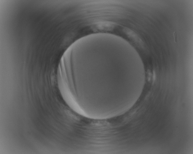 X0000081360915200702082316