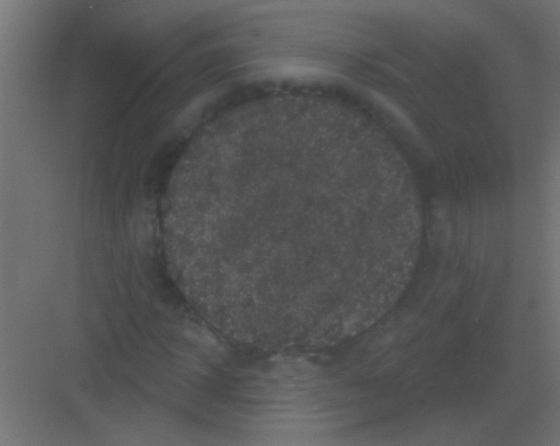X0000081360918200702082316