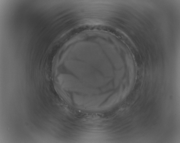 X0000081360919200702082316