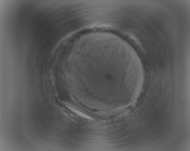 X0000081360920200702082316