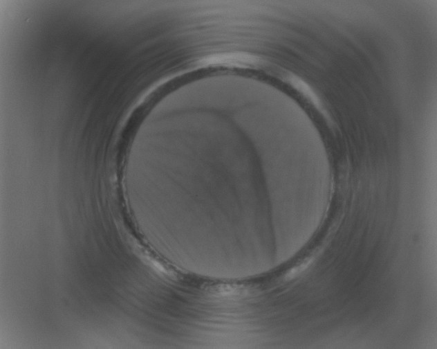 X0000081360923200702082316