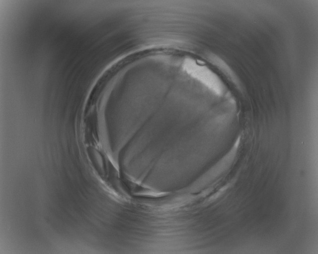X0000081360924200702082316