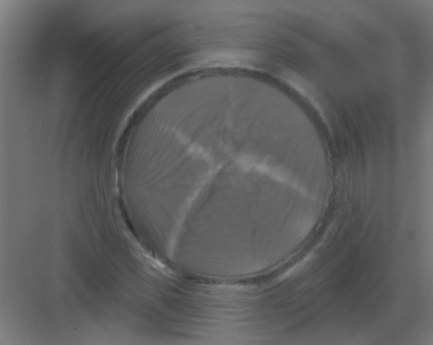 X0000081360925200702082316