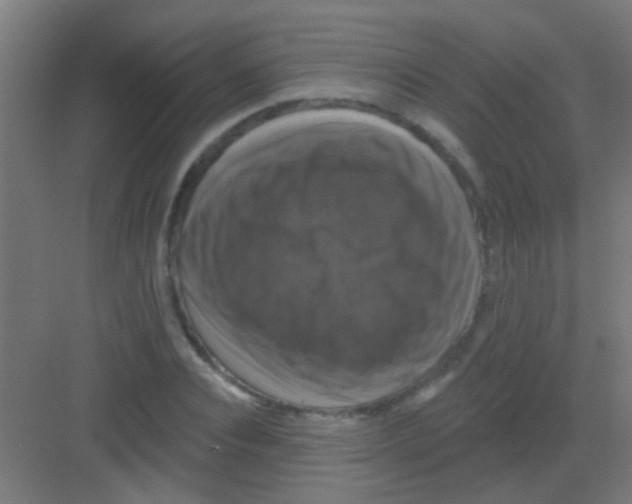 X0000081360928200702082316