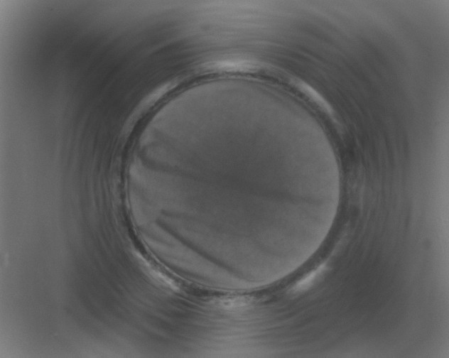 X0000081360930200702082316
