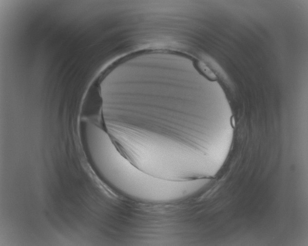 X0000081360932200702082316