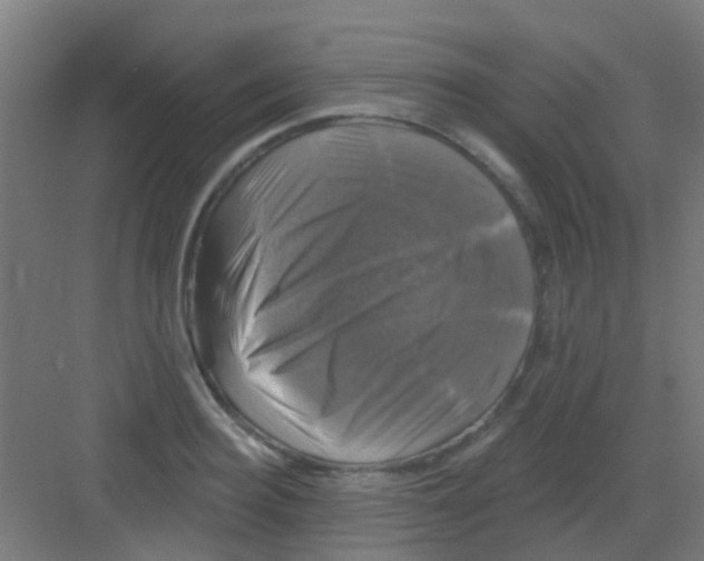 X0000081360940200702082317