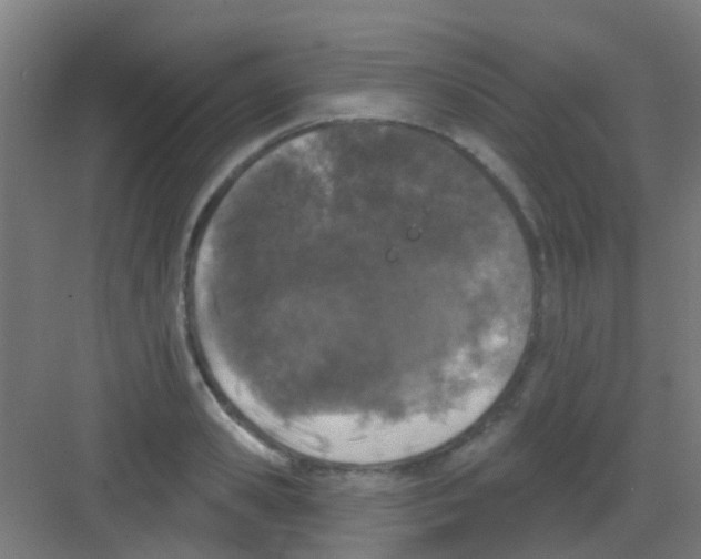 X0000081360941200702082317