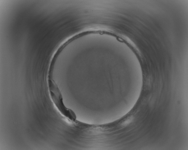 X0000081360943200702082317