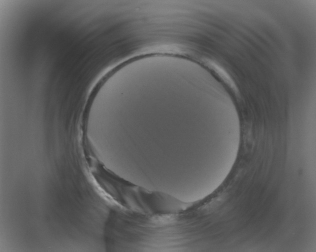 X0000081360944200702082317