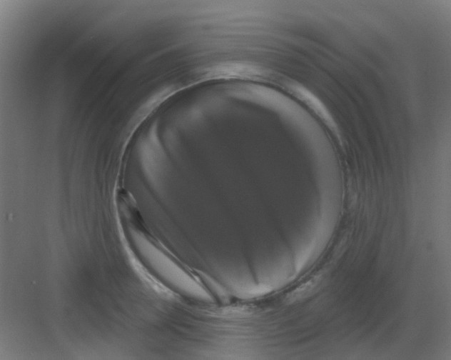 X0000081360946200702082317