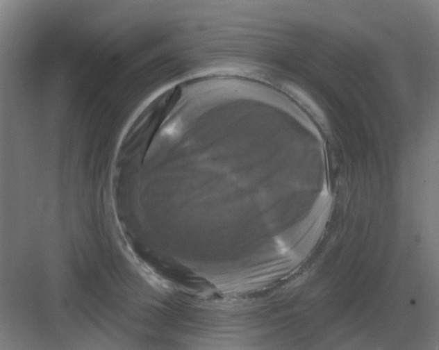 X0000081360948200702082317