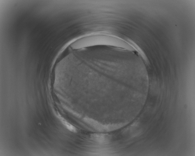 X0000081360956200702082317