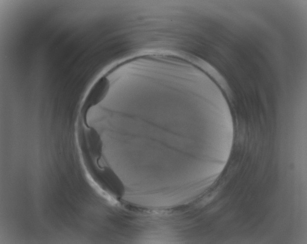 X0000081360958200702082317