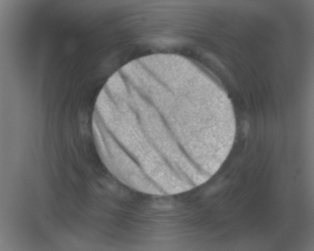 X0000081360964200702082316