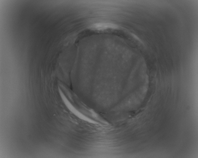 X0000081360965200702082316