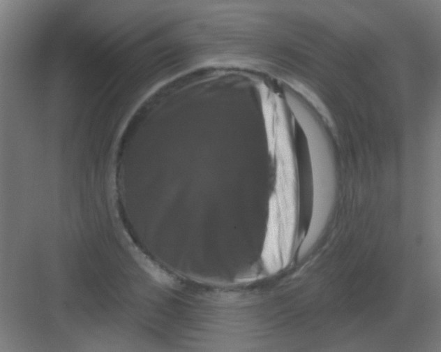 X0000081360976200702082316