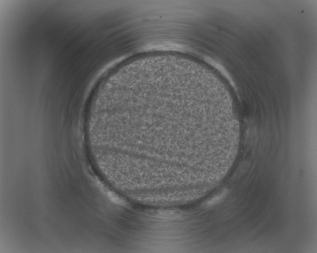 X0000081360979200702082316