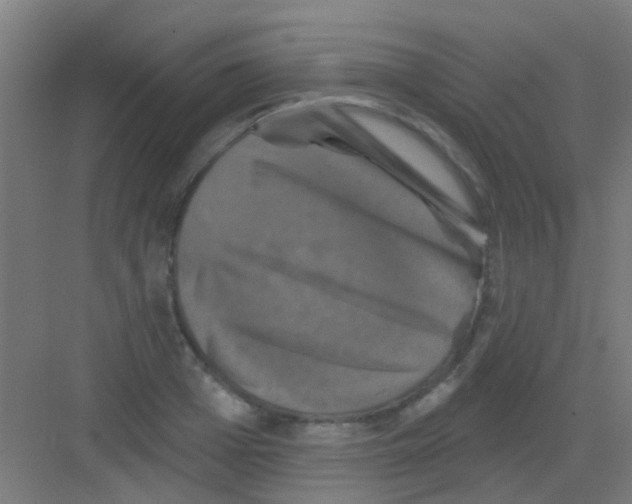 X0000081360985200702082316