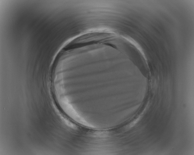 X0000081360989200702082316