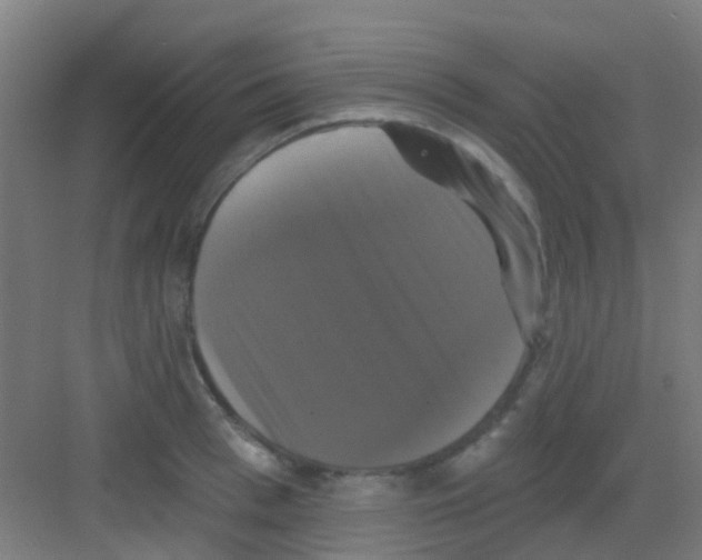 X0000081360993200702082316