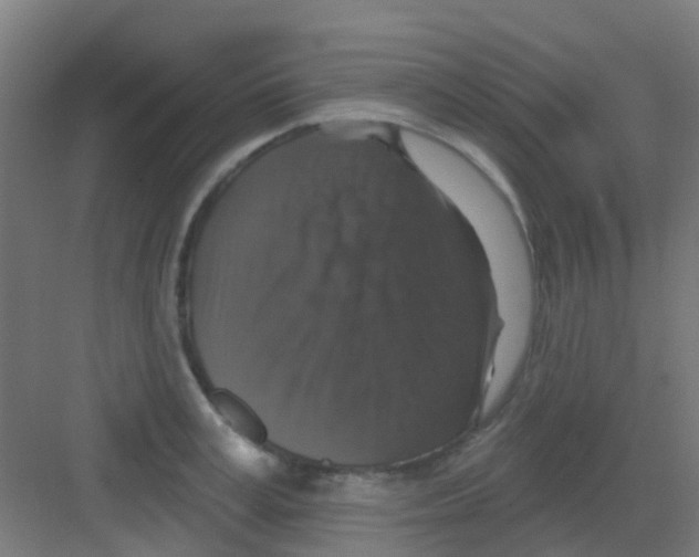 X0000081360995200702082316